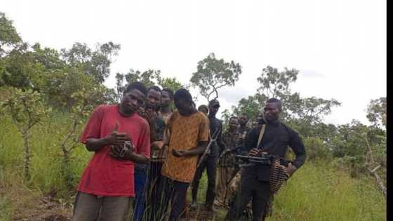 Hotuna: Sojin Sun Ragargaji 'Yan Bindiga Har Maboyarsa, Sun Ceto Mutum 10