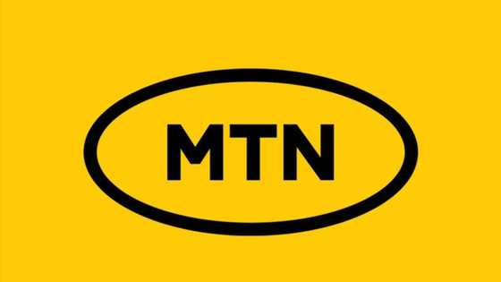 How to borrow credit or data from MTN in 2024 in few steps