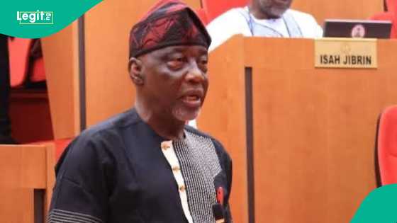 Who is Jenn Carter? Get to know more about the drill rapper - Legit.ng