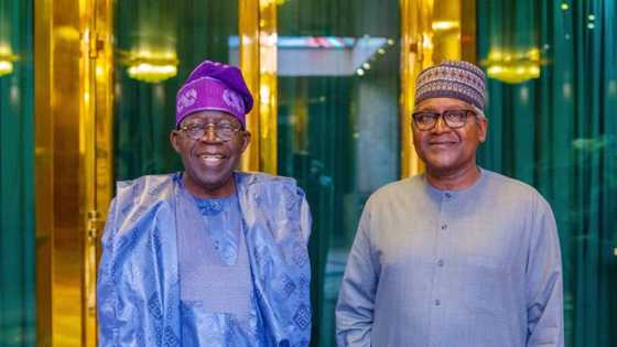Power vs Money: President Tinubu receives Africa's richest man Aliko Dangote in Aso Rock