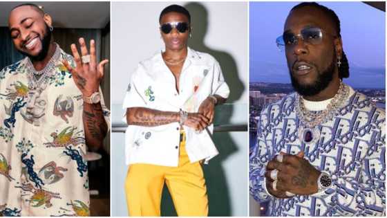 "We go with the best": Nigerians say they would go on a 3-day tour with Davido, Wizkid comes 2nd