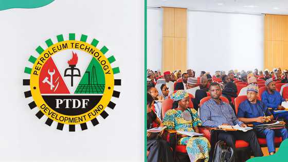 PTDF Scholarship details for 2026 — requirements and application process