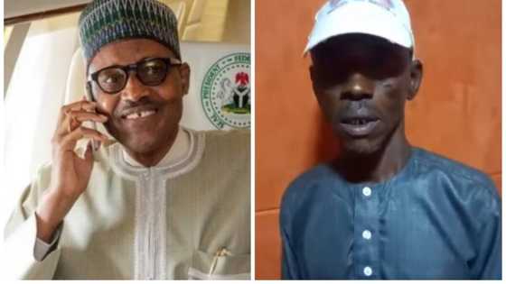 Buhari da hannunsa ya bani lambar waya muna gaisawa amma bai tsinana min komai ba