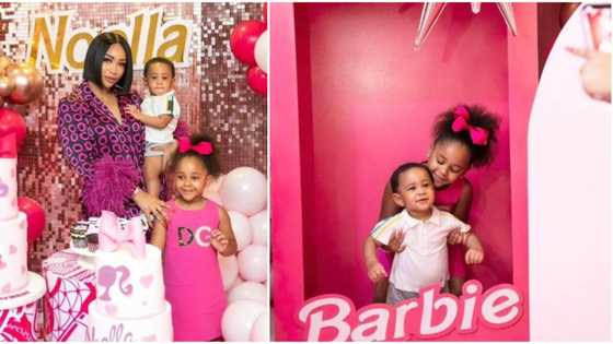 Lovely photos from Seyi Tinubu’s daughter’s Barbie-themed 4th birthday party