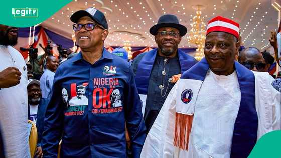 Zaben 2027: Kwankwaso ya bayyana yarjejeniyar da ke tsakaninsa da Peter Obi