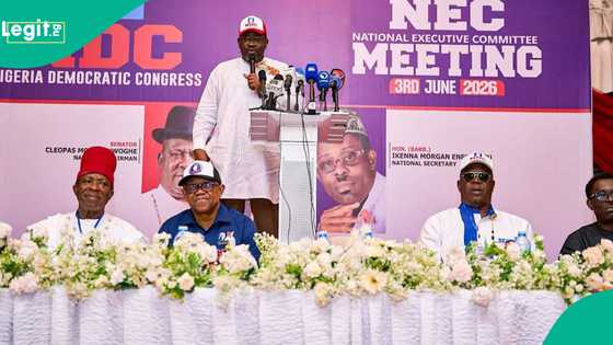 2027 election: NDC leader hints at coalition after court overturned judgment recognising party