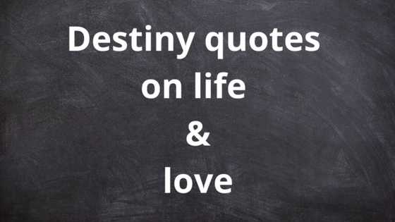 Best destiny quotes on life and love that will transform your life