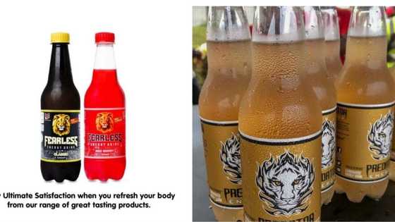 Rites Foods, Coca-Cola drag the battle for the N415trn energy drink market share in Nigeria