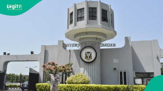 Vice Chancellor of UNIBADAN breaks silence on why student went on three-week break