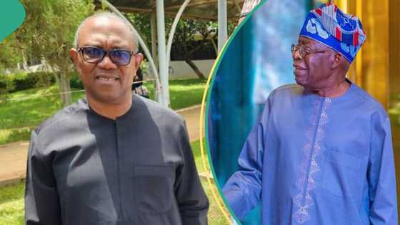 Prophet David Elijah sends major warning to Peter Obi ahead of judgement on petition against Tinubu