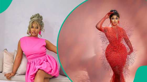 BBNaija's Phyna brags, opens up about Abuja viral fight: "They cropped the video, I was attacked"