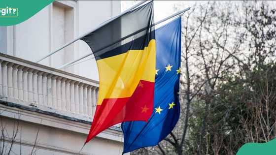 Apply Now: German embassy invites Nigerians to apply for job, sets deadline