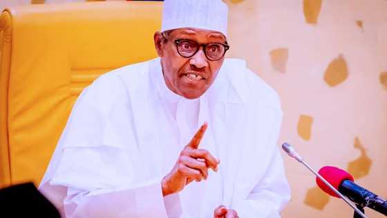 Bana son rigima: Buhari ya fadi abu 1 da zai yi bayan sauka daga mulki a 2023