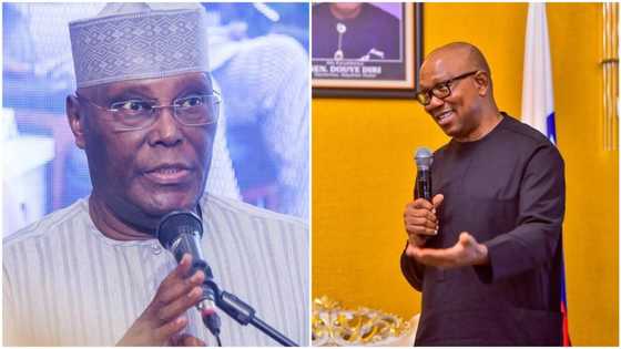 Just in: Atiku, Peter Obi, others set to sign crucial agreement ahead of 2023 presidential election