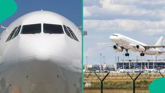 Aviation expert explains pilot's alleged mistake that may have caused deadly Air India crash