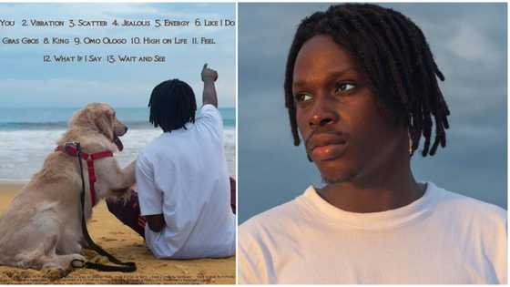 Singer Fireboy DML's Laughter, Tears & Goosebumps album receives massive love online