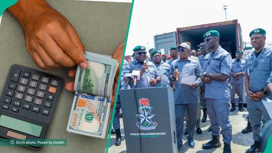 Import costs set to fall as CBN crashes Customs exchange rate