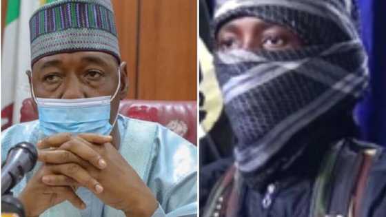 Yanzu Yanzu: Boko Haram ta dauki alhakin kisan kiyashin Zabarmari, ta yi gagarumin gargadi ga yan farar hula