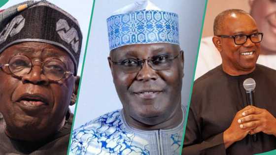 Tinubu vs Peter Obi/Atiku: Prophet speaks on only way president can be defeated in 2027 election