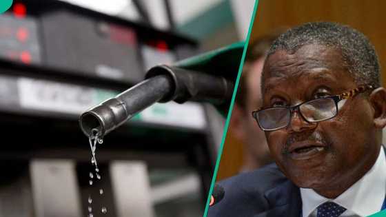 Dangote announces new fuel pump price at filling stations, declares 'no more N970 per litre'
