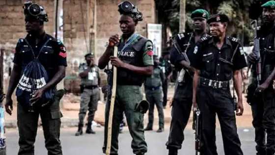 Yanzu-Yanzu: Yan Sanda Sun Rufe Sabuwar Ofishin NNPP A Borno, An Kuma Kama Shugaban Jam'iyyar