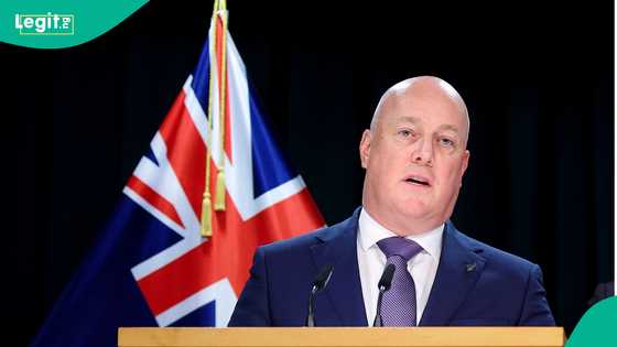 New Zealand mentions 4 key benefits foreigners can access with Business Investor Visa