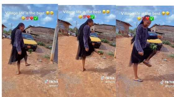 Talented lady on flowing gown juggles leaves like ball, video goes viral on TikTok