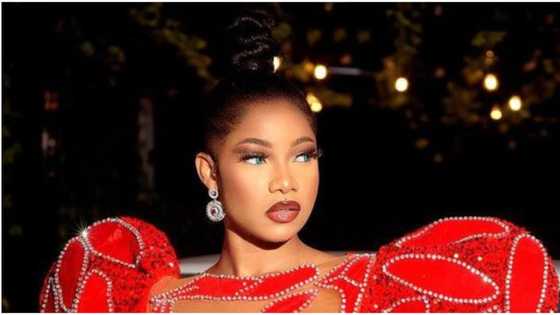 Yours was encouraged on BBNaija: Nigerians drag Tacha for saying bad behaviour is being encouraged