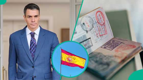 Spain releases list of only 8 African countries whose citizens can enjoy visa-free entry in 2026