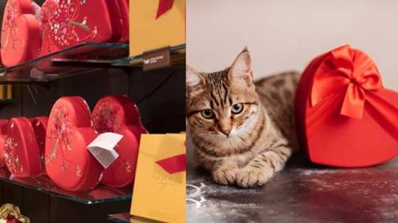 Americans spend more than half of Nigeria's budget on Valentine gifts, and 4 other fun facts about lovers' day