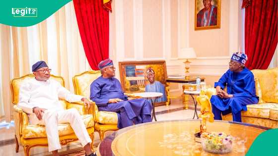 “We discussed…” Otedola shares what happened in meeting with Tinubu, Dangote