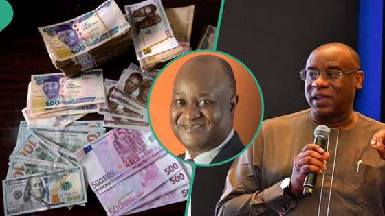 Ex-CBN Deputy Governor Lemo speaks on Tinubu's exchange rates unification as gap widens to N192