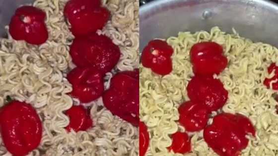 She can cook for Africa: Nigerian slay queen "destroys" noodles with too much pepper, video goes viral