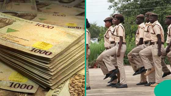 Full breakdown: Estimated monthly salaries of Nigerian Immigration Service by ranks