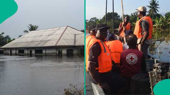 321 dead, 740,000 displaced due to flooding in Nigeria, NEC gives solution