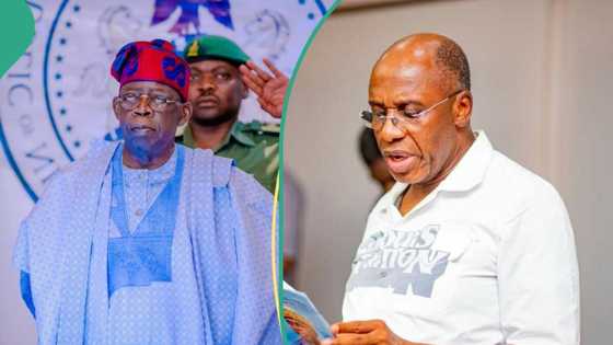 Ex-minister Amaechi speaks after Tinubu's Supreme Court victory