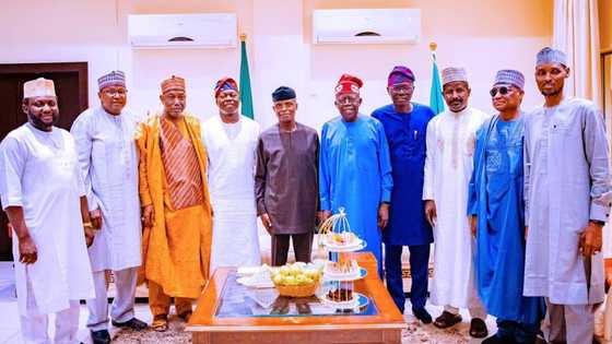 Bola Tinubu visits Yemi Osinbajo days after APC presidential primary