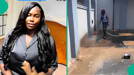 Business owner takes swift action as all her workers stop working for her