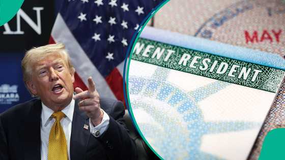 US publishes steps for Green Card holders to apply for citizenship, explains guidelines