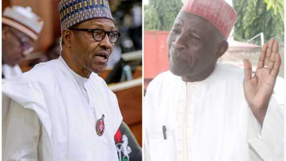 Kada yan Najeriya su sa ran ganin wani abun kirki daga zababbun ministocin Buhari – Galadima da Dantiye