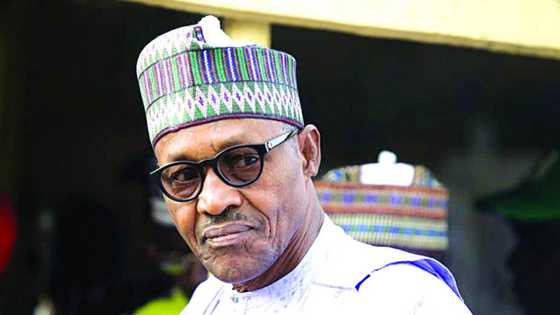 Barnar Boko Haram da Na 'Yan Bindiga Basu Kai Illar Shan Miyagun Kwayoyi Ba