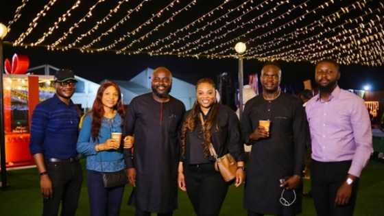 Nigerian Breweries Brands Brew a Fun-filled December at Wonderland!