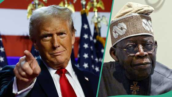 Tinubu, Trump's victories: Fresh twist as Akeredolu's wife compares Nigeria, US elections results