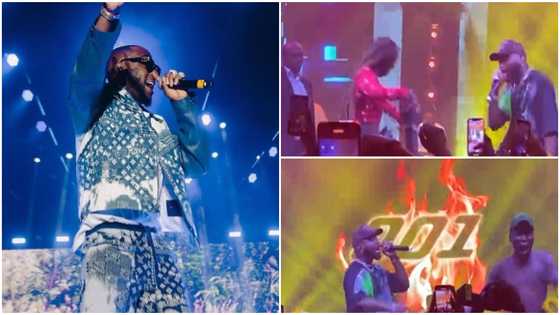 "Give am N2million”: Moment Davido brought female fan on stage, pulled his shoes for her and gave her money