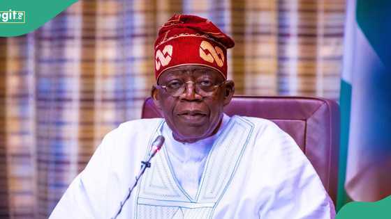 “This is just the beginning”: Tinubu’s govt announces sale of 50kg rice for ₦40,000