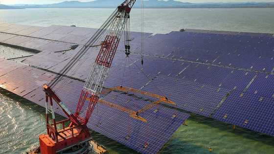 China may strengthen climate role amid US fossil fuel push