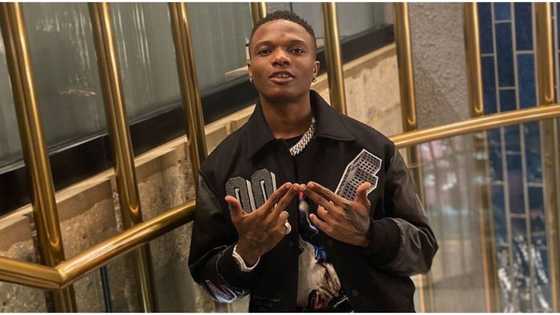 You're going to jail for 6 months if you compare Wizkid to other African acts: Fan declares, manager supports