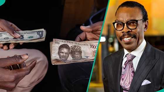 Good news: Rewane releases naira to dollar exchange rate projection for 2026