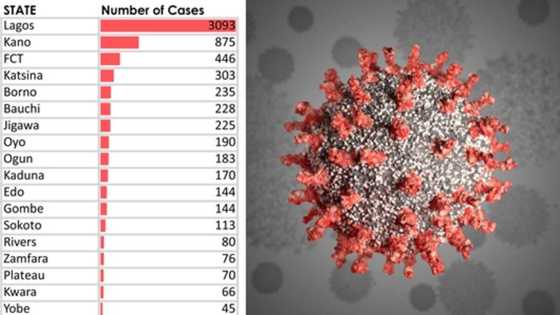 Dalla Dalla: Adadin masu cutar korona cikin kowace jiha da aka samu bullar cutar a Najeriya