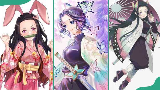Top 10 strongest female Demon Slayer characters ranked by their power and prowess